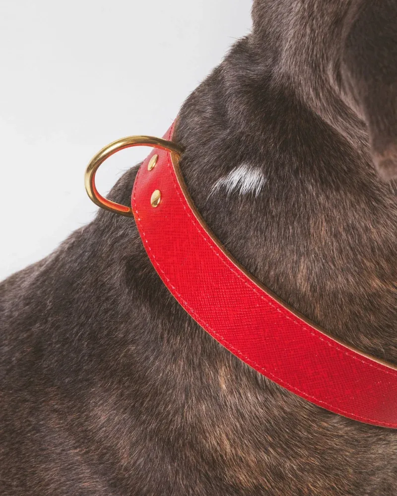 Moni Dog Collar in Red Leather (Made in Italy) (FINAL SALE) - Image 2