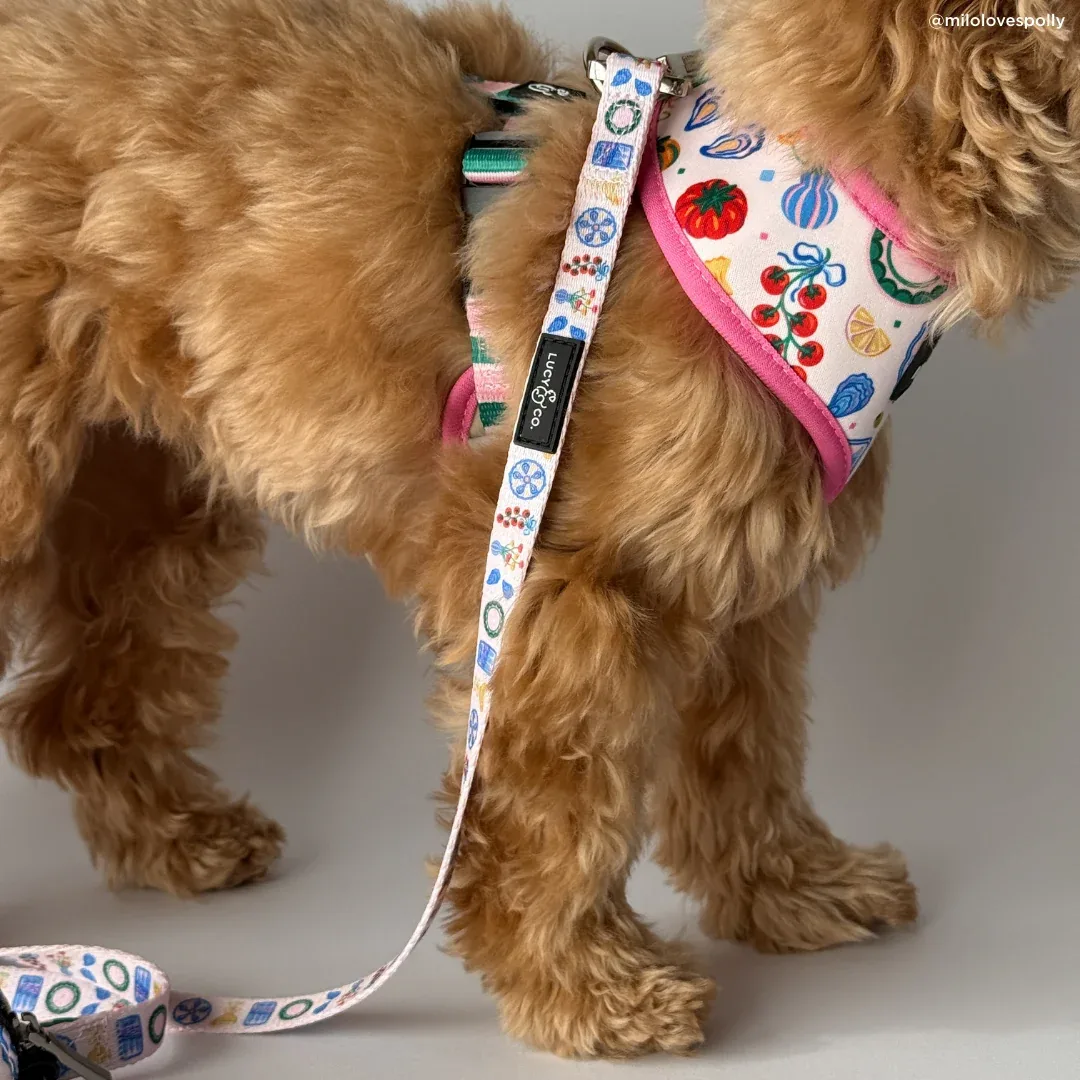 Dolce Vita Leash - Image 2