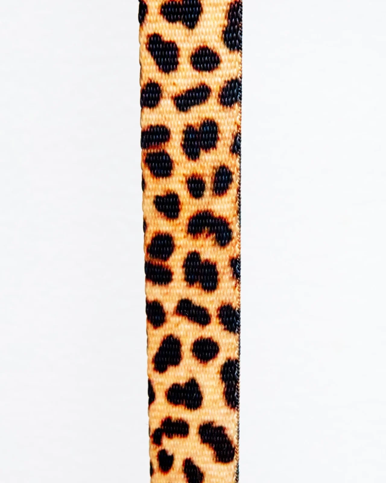 Basic Nylon Dog Leash in Leopard (Made in the USA) - Image 2