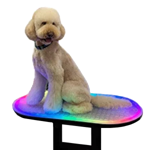 Multi-Color LED Light for TZGroom Table