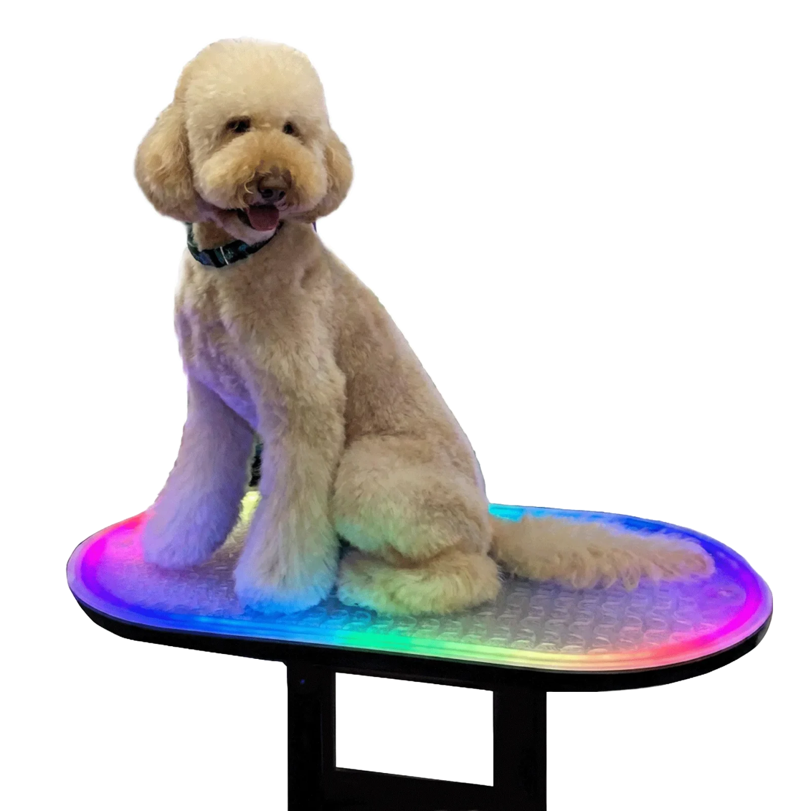 Multi-Color LED Light for TZGroom Table