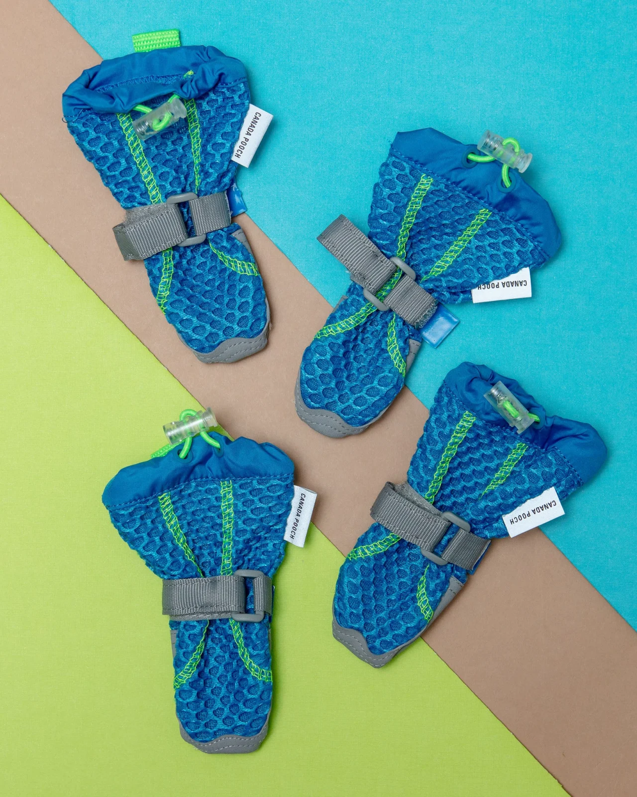 Hot Pavement Dog Boots in Blue and Green <>