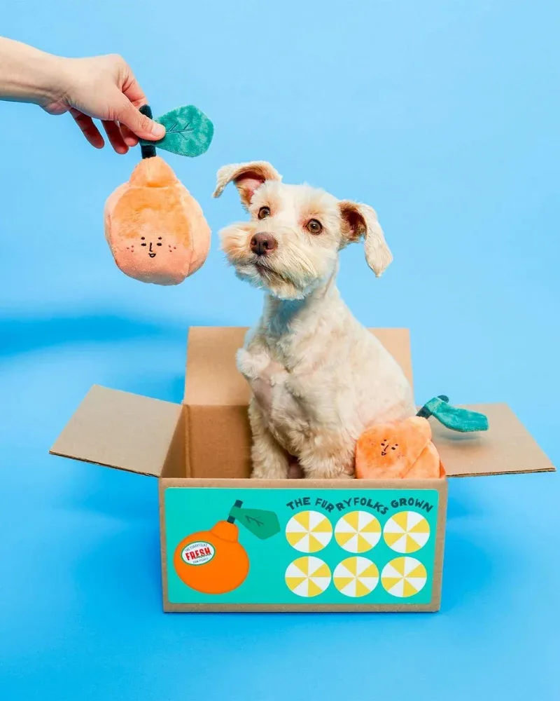 Orange Nosework Dog Toy - Image 2