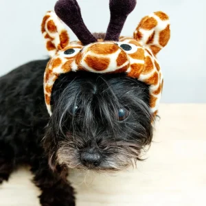 Giraffe Dog Hat