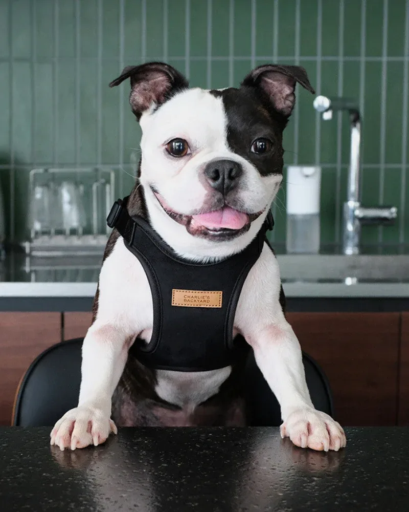 Comfort Dog Harness in Black - Image 2