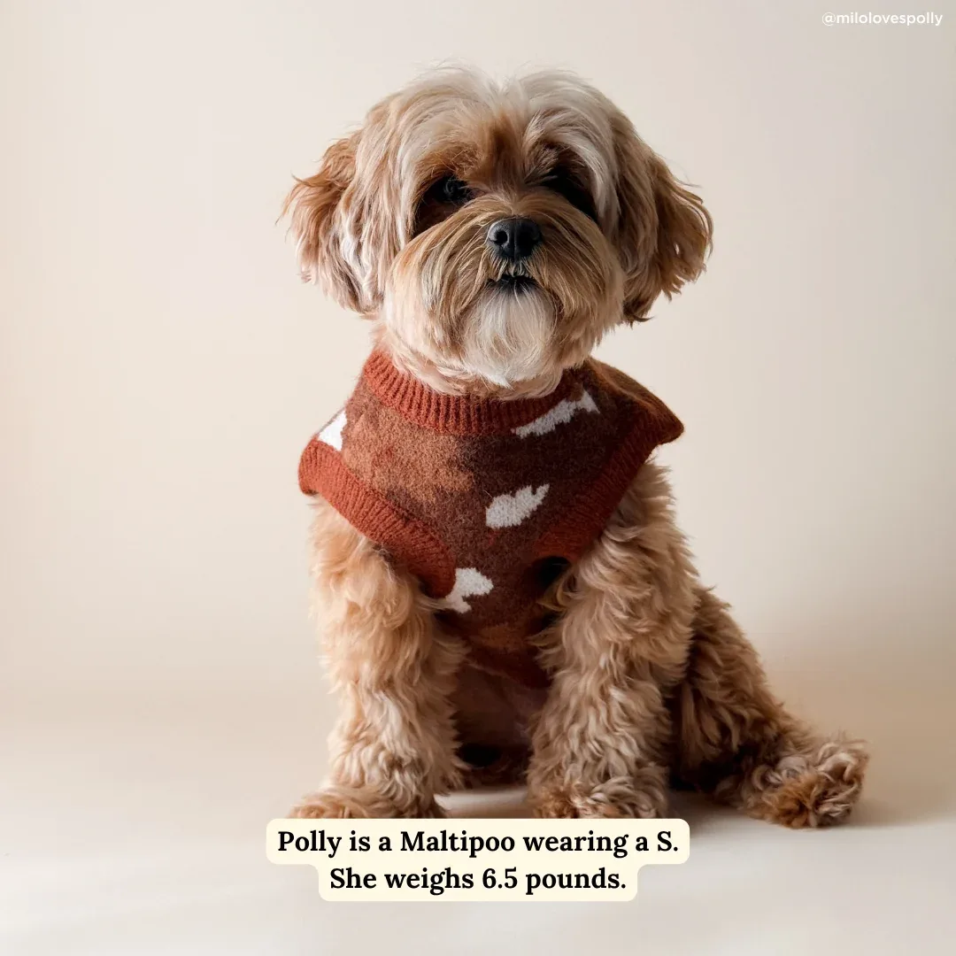 Chocolate Meadows Sweater - Image 2