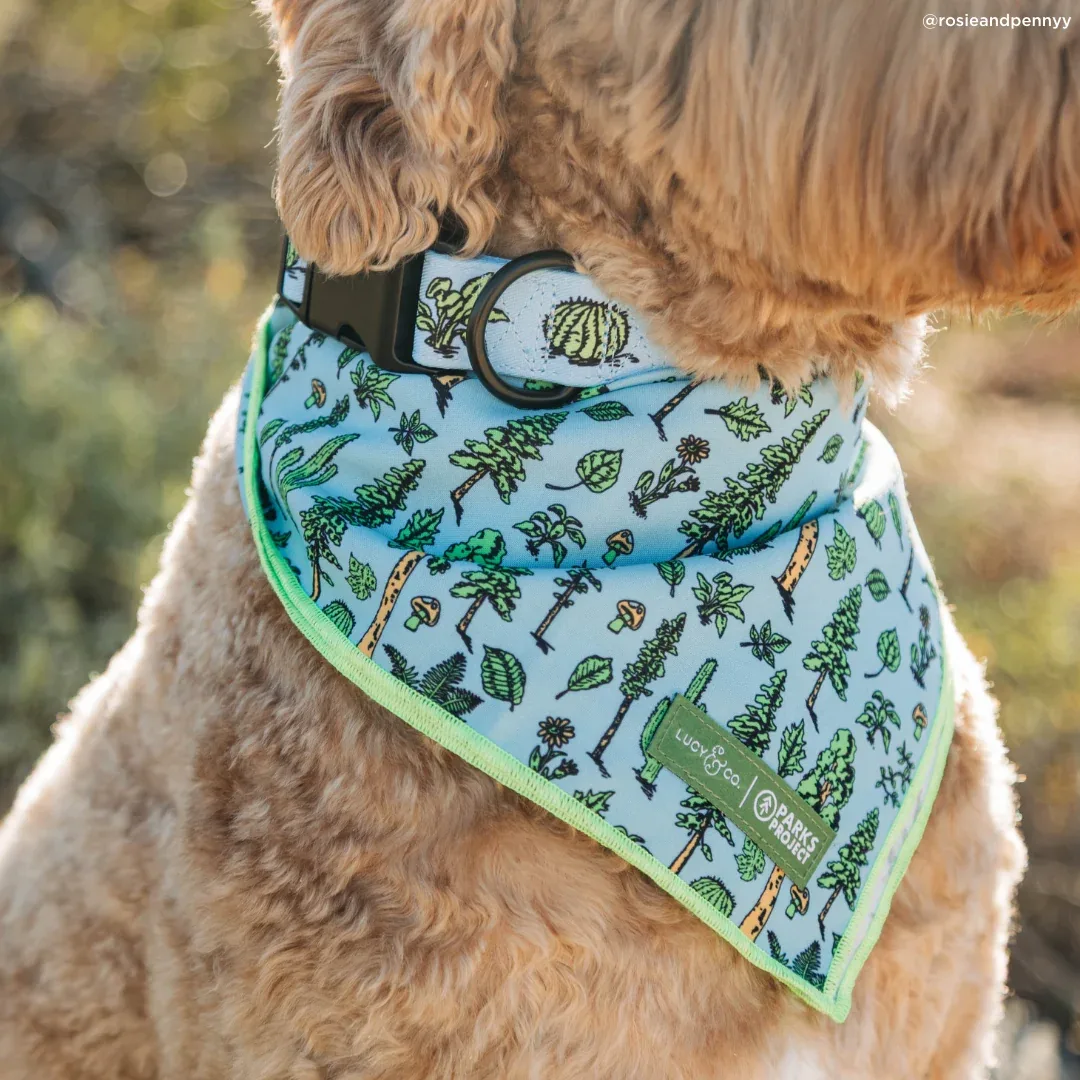 Lucy & Co. x Parks Project Feel the Earth Breathe Bandana - Image 2