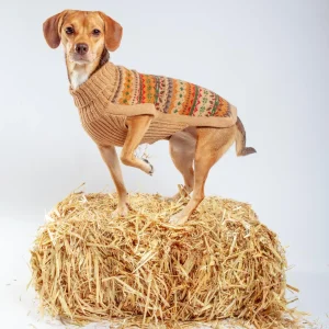 Fair Isle Finn Alpaca Dog Sweater (FINAL SALE)