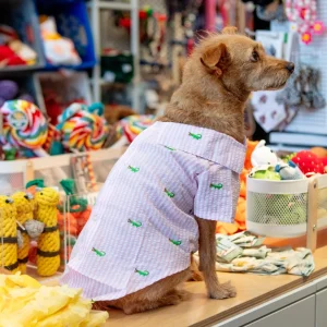 Alligator Pink Stripe Dog Shirt (FINAL SALE)