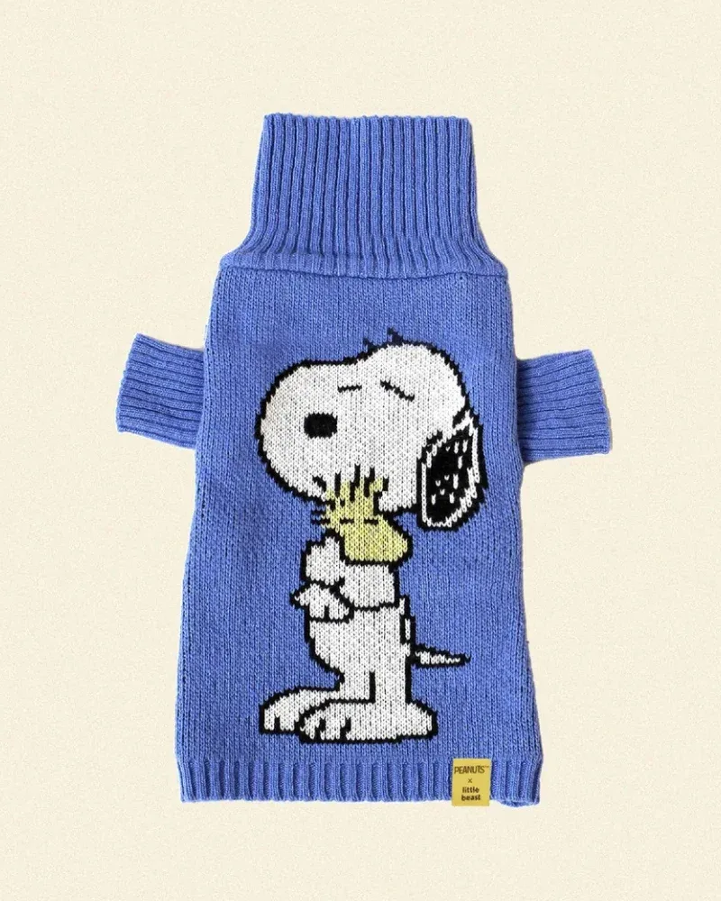 Peanuts Snoopy Dog Sweater in Blue