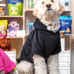 Plush Dog Hoodie in Black (Made in the USA)