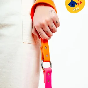 City Leash in Neon Pink & Neon Orange (4 or 6 Foot) (Made in the USA)