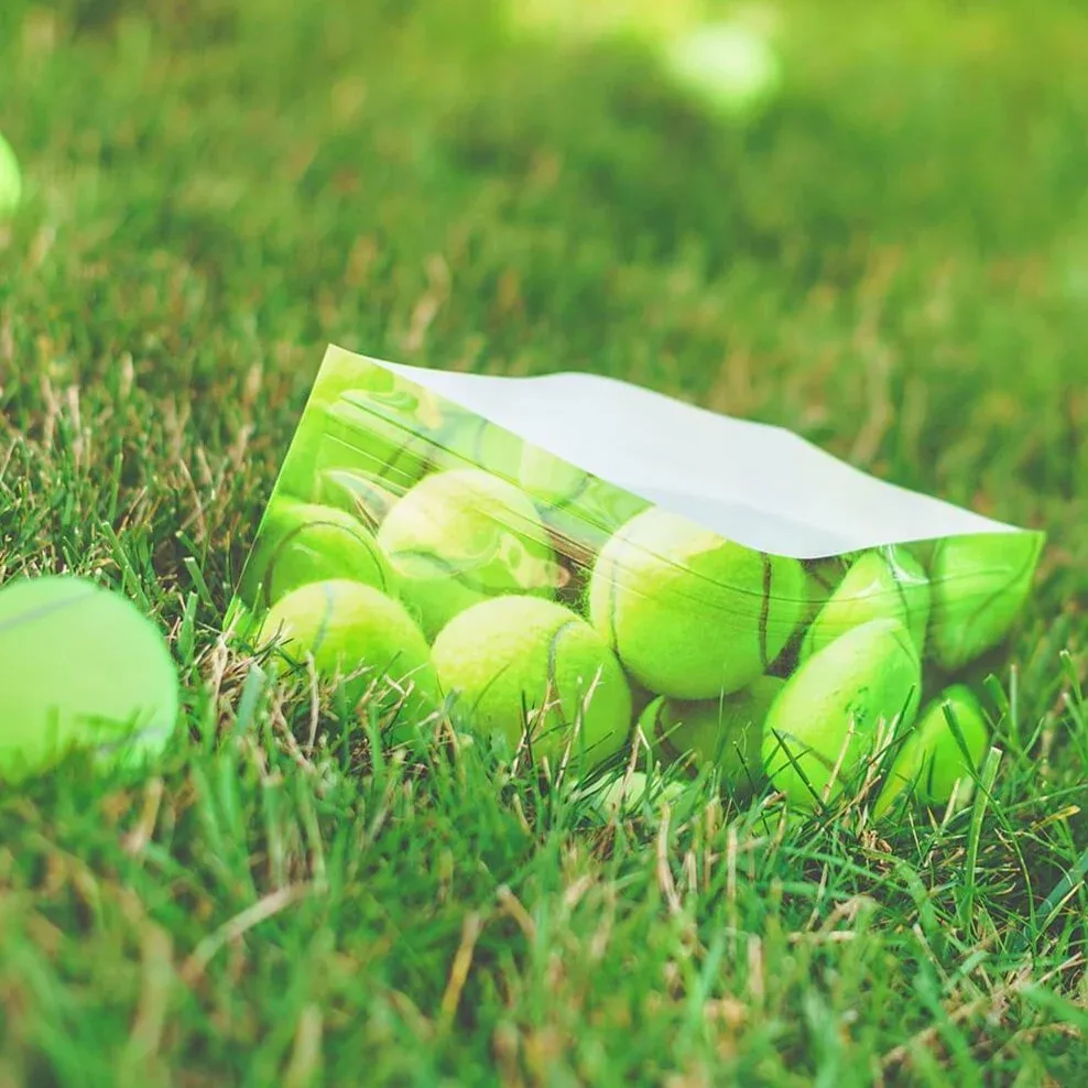 Tennis Ball Dog Water Bowl (Set of 2) <>