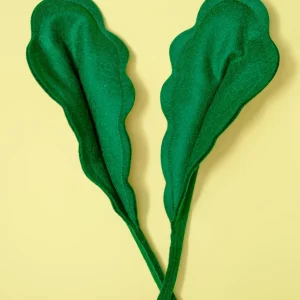 Crunchy Kitty Kale Catnip Toy