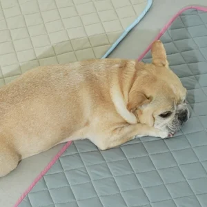 Airy Pet Cooling Mat