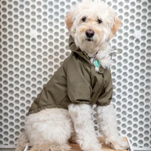 Brooklyn Nylon Water Resistant Dog Jacket (FINAL SALE)