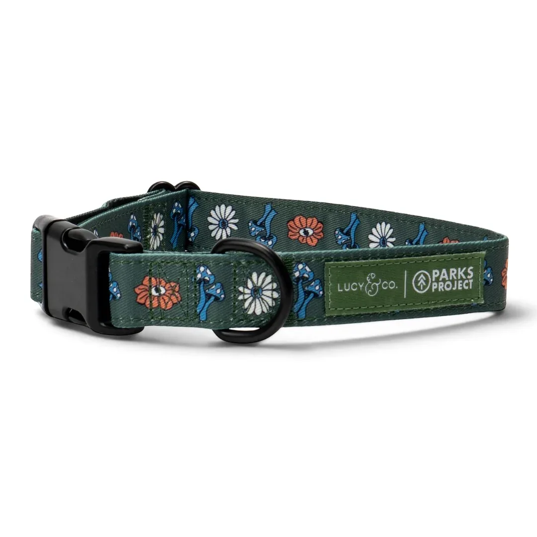 Lucy & Co. x Parks Project Power to the Parks Collar