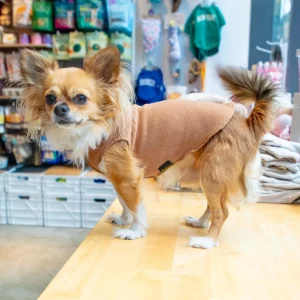 Stretch Fleece Dog Pullover in Chipmunk