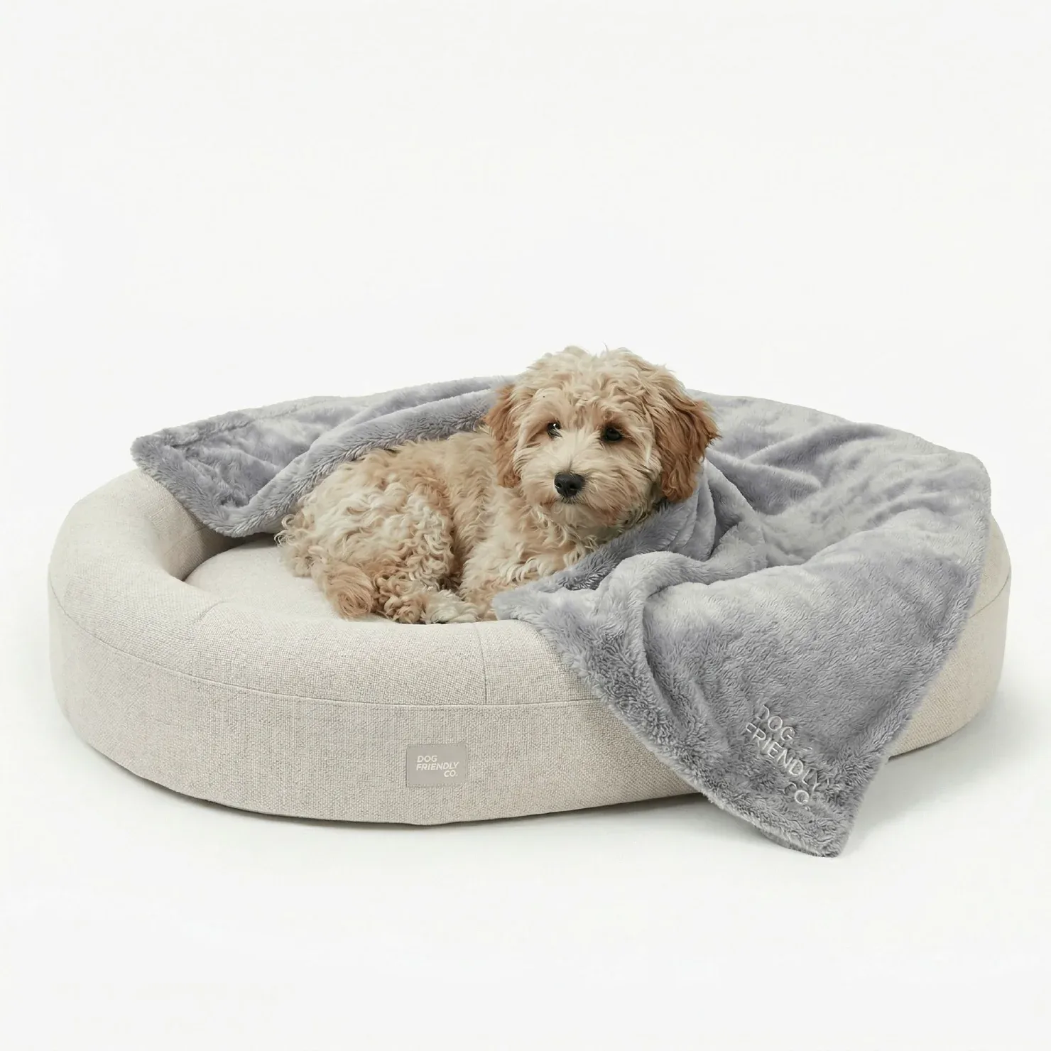 Chill Pill Memory Foam Dog Bed - Beige (Small) - Image 2