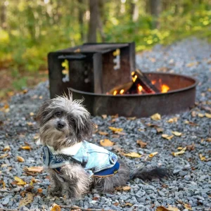 Northside Sherpa-Lined Denim Dog Jacket