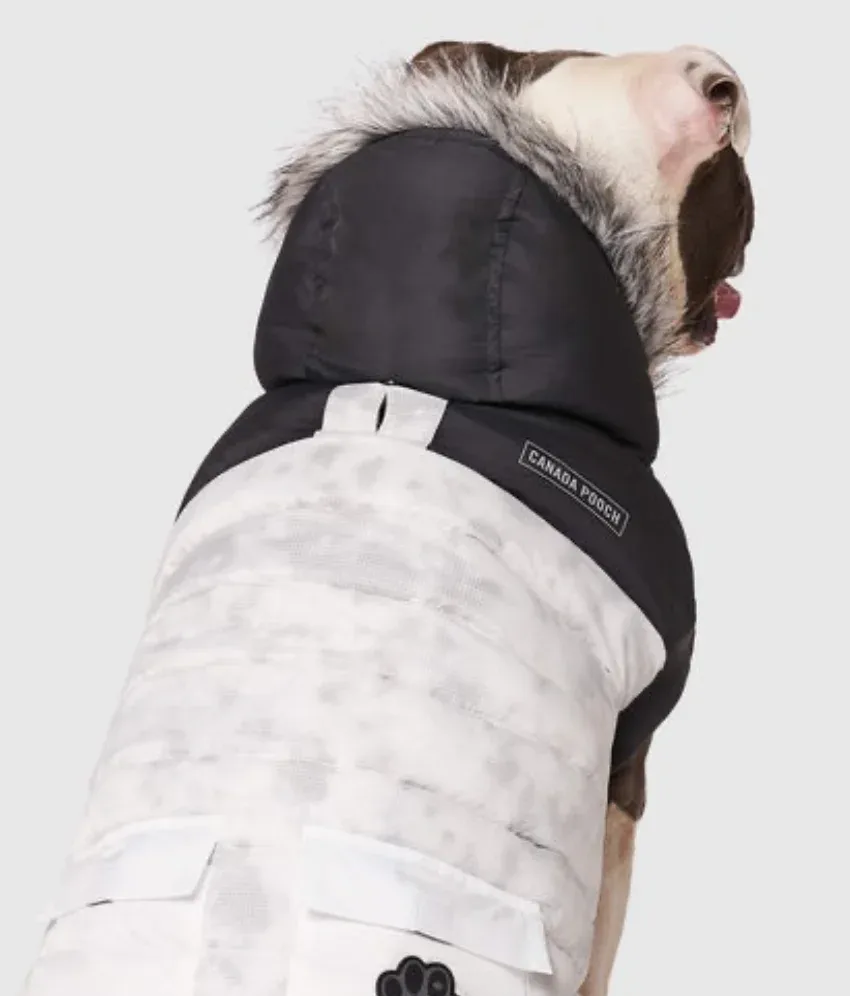 Eco True North Dog Parka in Marble <> - Image 2