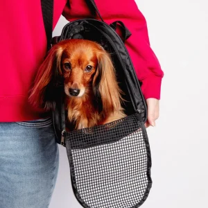 Jet Carrier Pet Carrier in Black (Airline Approved) (FINAL SALE)