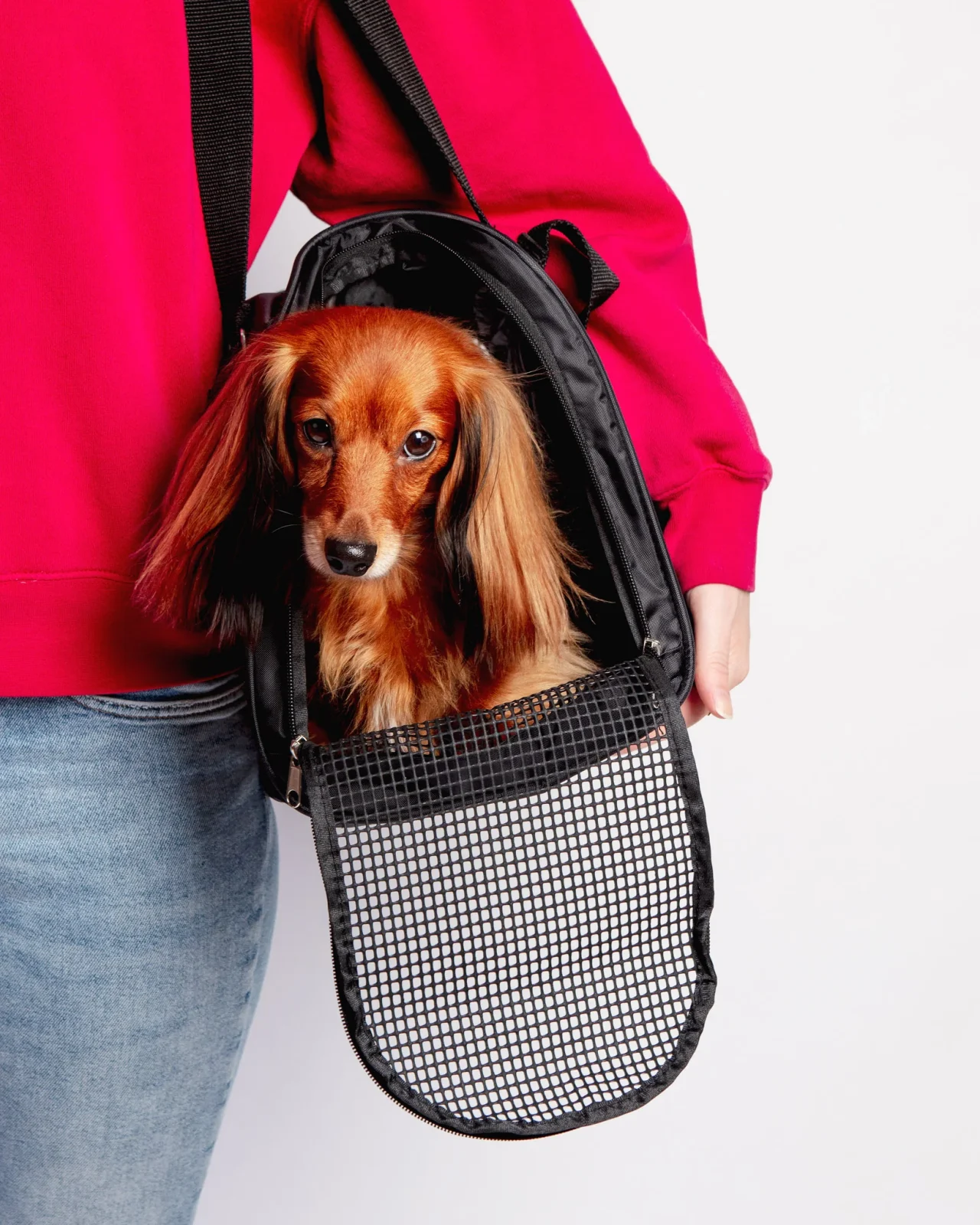 Jet Carrier Pet Carrier in Black (Airline Approved) (FINAL SALE)