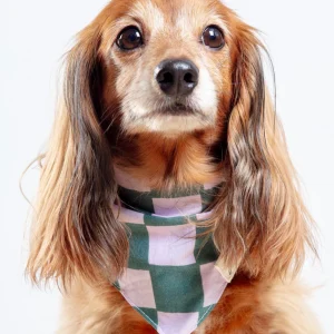 Brooklyn Checkered Dog Bandana (FINAL SALE)