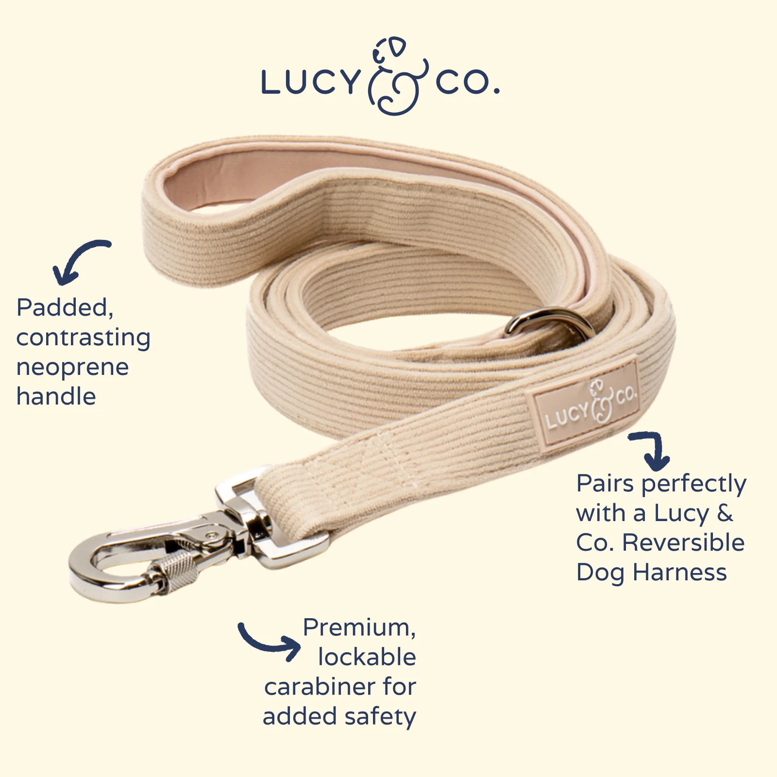 Oh My Gourd Corduroy Leash - Image 2