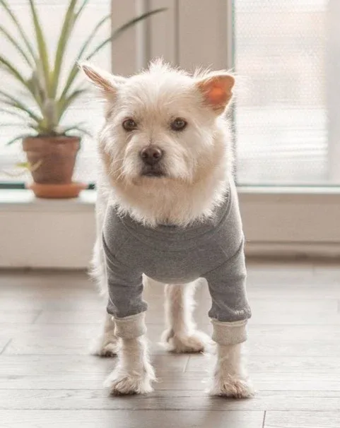High V-Neck Pullover in Light Grey((FINAL SALE)) - Image 2