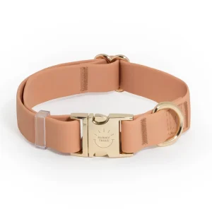 Chai Brown Waterproof Dog Collar