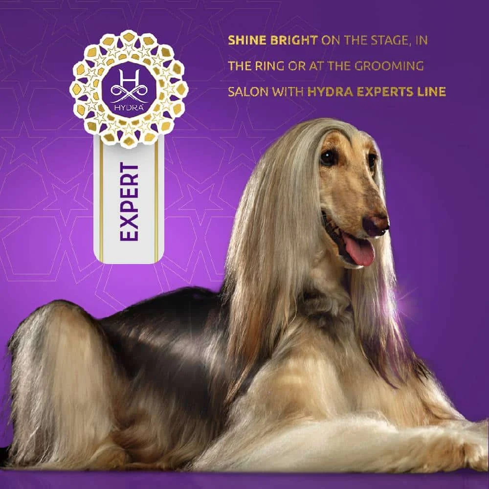 Expert Oil Redux 8.8oz by Hydra - Image 2