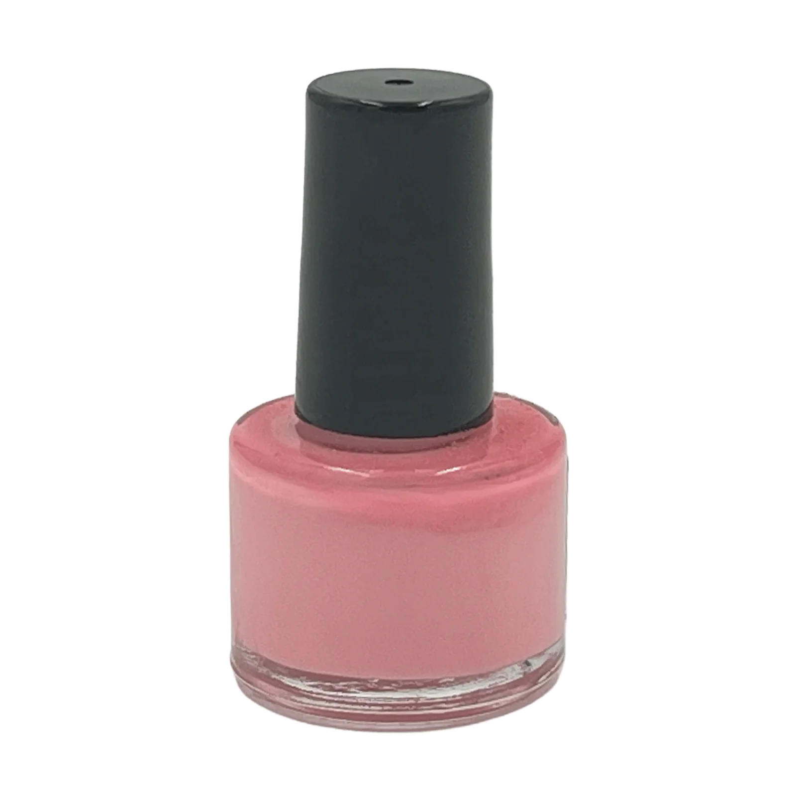 Petal Charm Non-toxic Nail Polish by Dog Fashion Spa - Image 2
