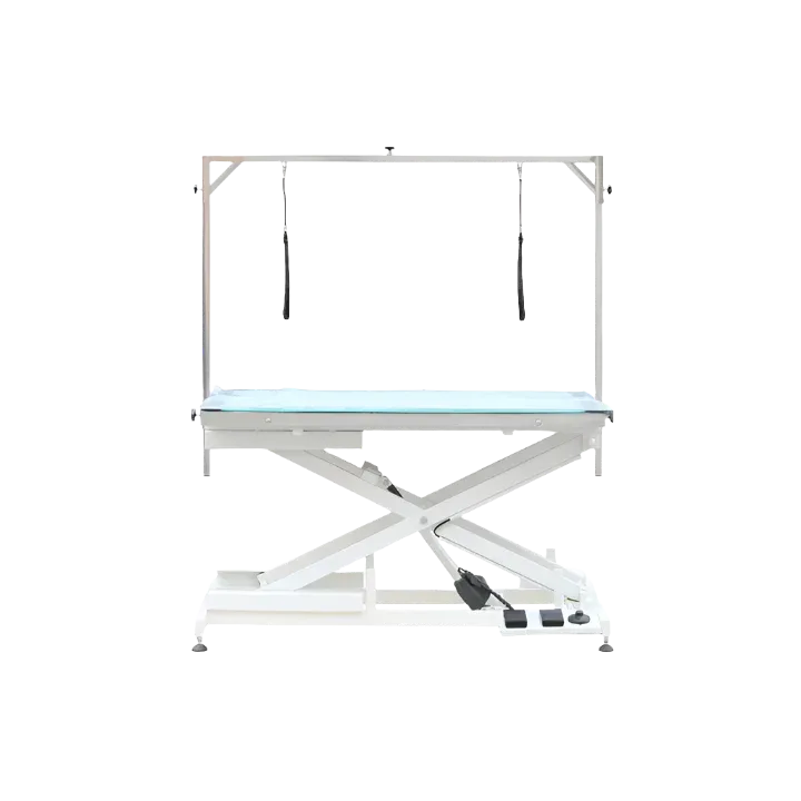 Premium LED Lighted Electric Table - 48" Top by PetStore.Direct - Image 2