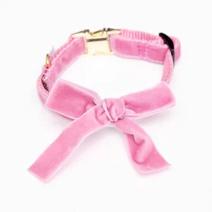Velvet Dog Bow Collar Set in Petal Pink (Made in the USA)