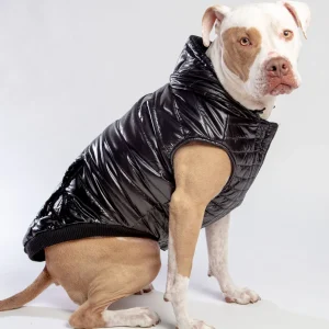 Shiny Puffer Dog Coat in Black (FINAL SALE)