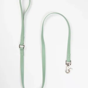 A Walk in the Park Dog Leash in Sage Green (Made in the USA)