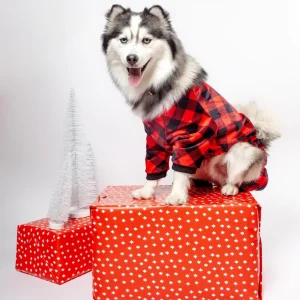 Buffalo Check Dog Jammies (FINAL SALE)