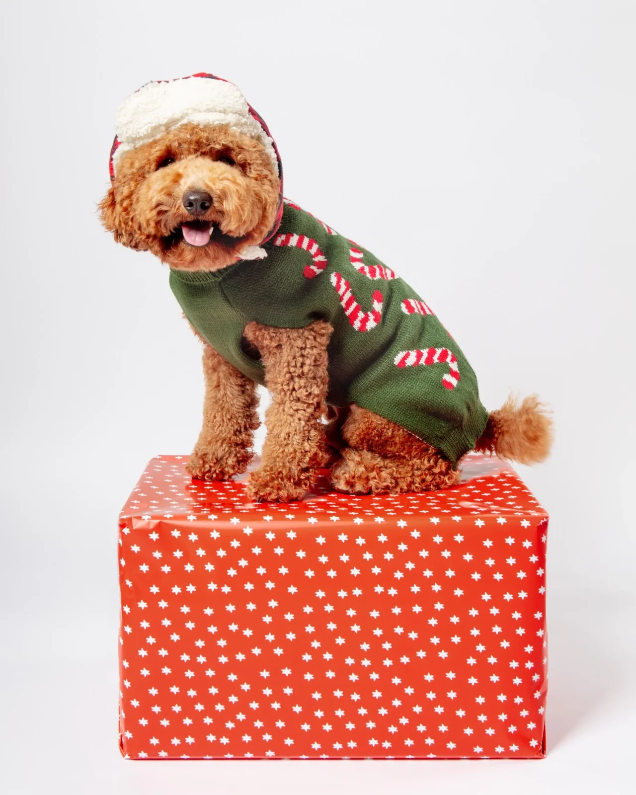 Flannel & Fleece Aviator Dog Hat in Buffalo Plaid (CLEARANCE) - Image 2