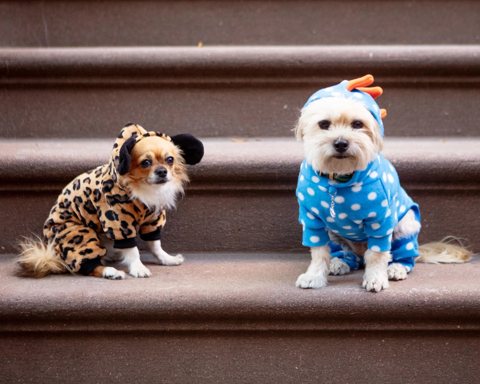 Hooded Fleece Polka Dot Dino Dog Onesie - Image 2