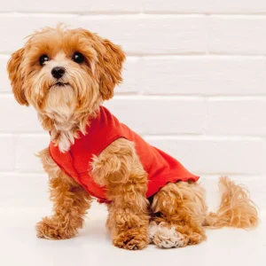 Pullover Stretch Dog Fleece in Paprika