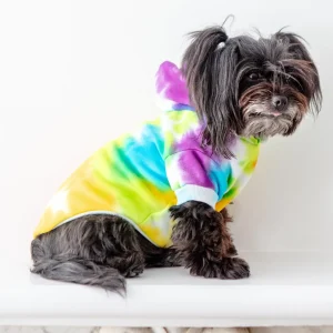 Tie Dye Dog Hoodie in Rainbow