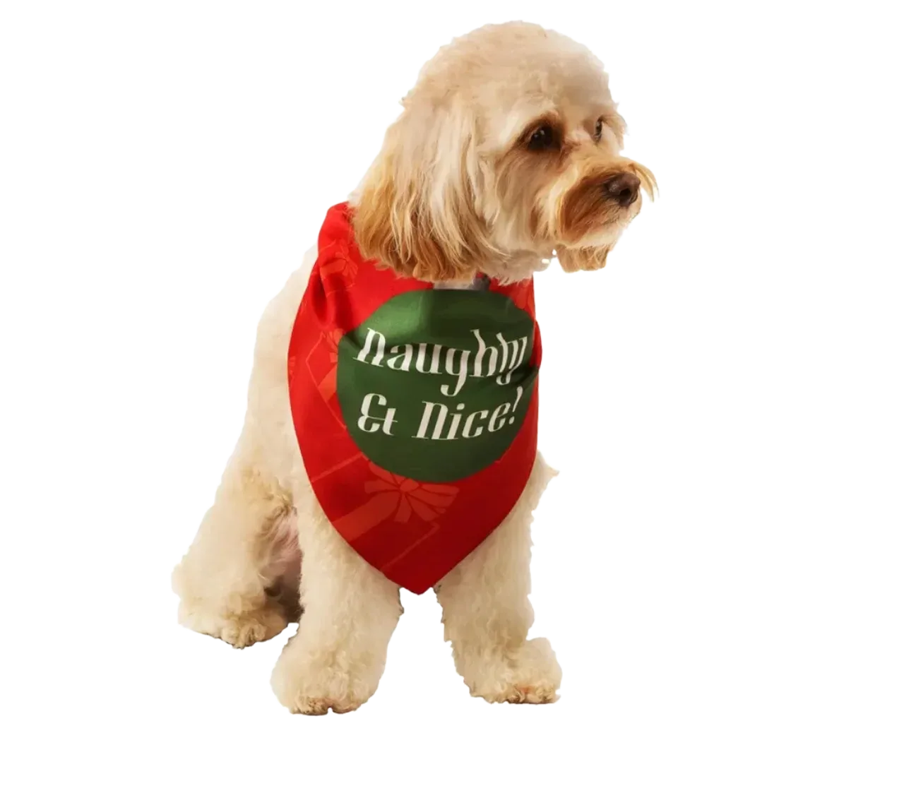 Naughty & Nice Holiday Dog Bandana by Dog Fashion Living - Image 2