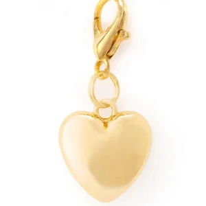 Heart of Gold Collar Dog Charm