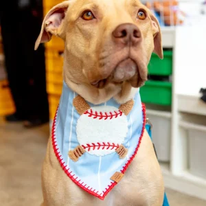 Baseball Applique Dog Bandana (FINAL SALE)