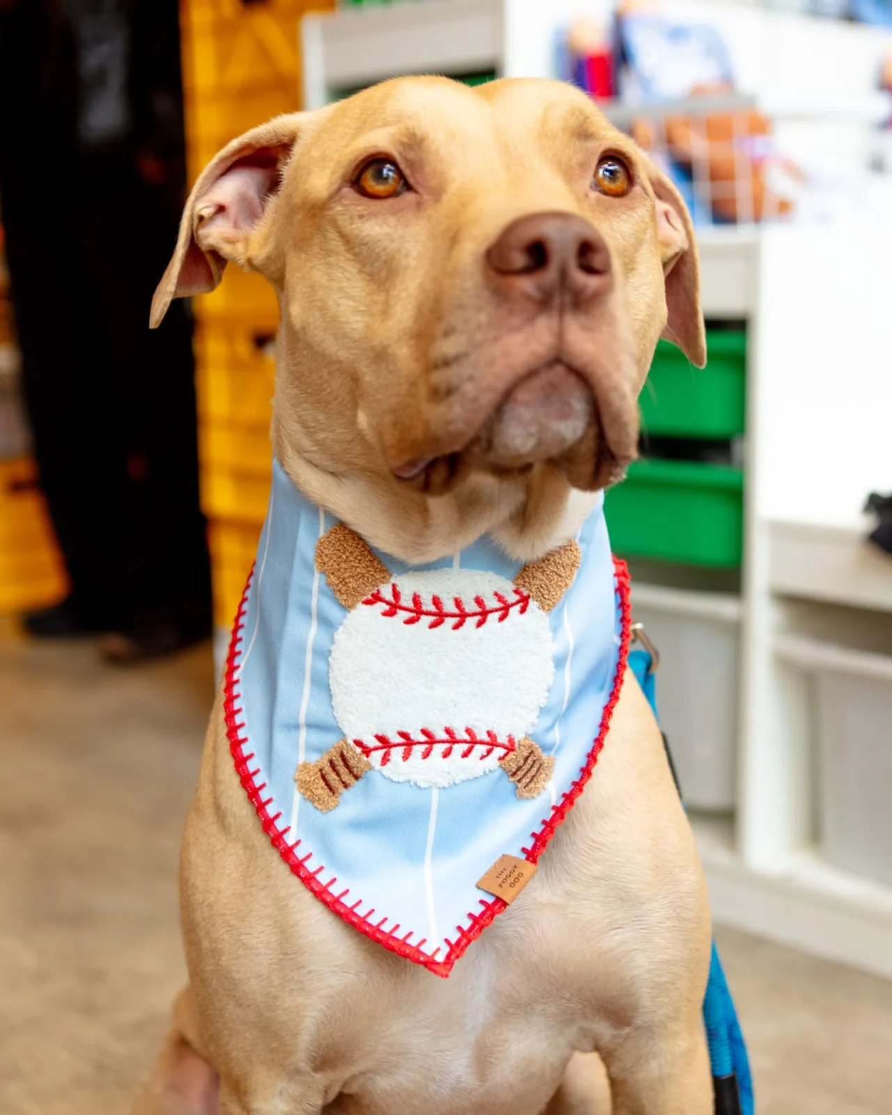 Baseball Applique Dog Bandana (FINAL SALE)