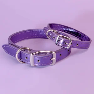 Shimmer Leather Dog Collar in Metallic Purple <>