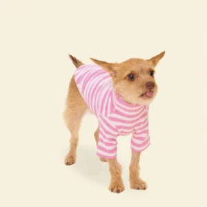 Hug Me Ribbed Dog Shirt