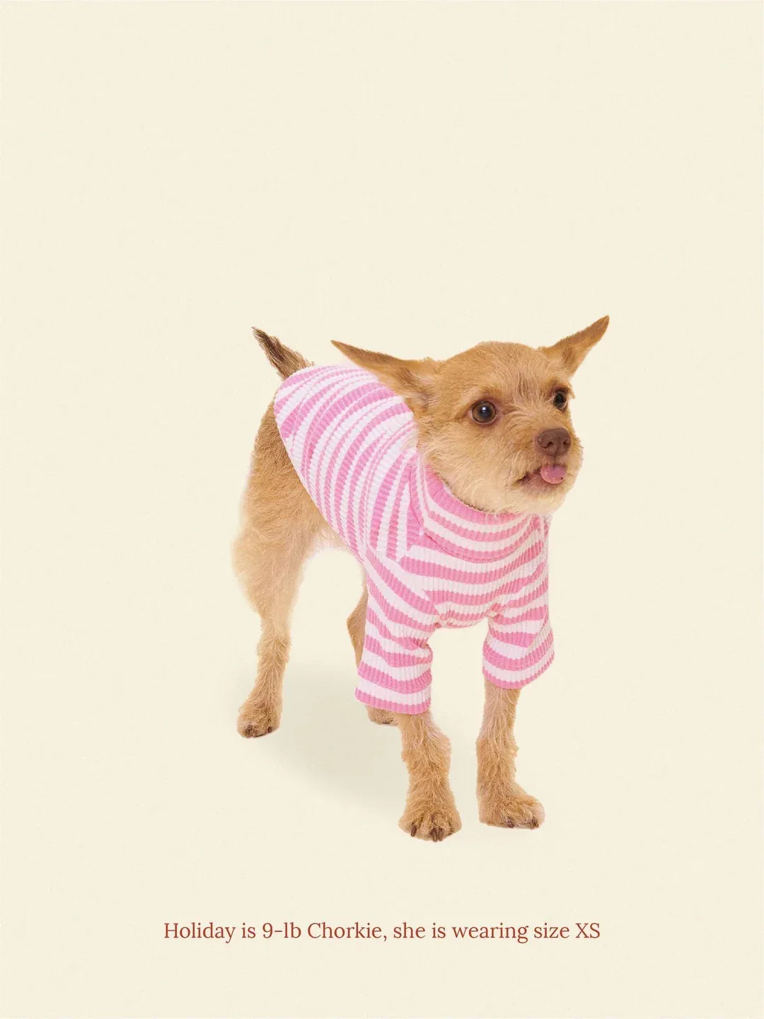 Hug Me Ribbed Dog Shirt