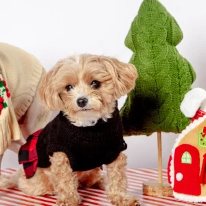 Turtleneck Sweater Dress for Dogs